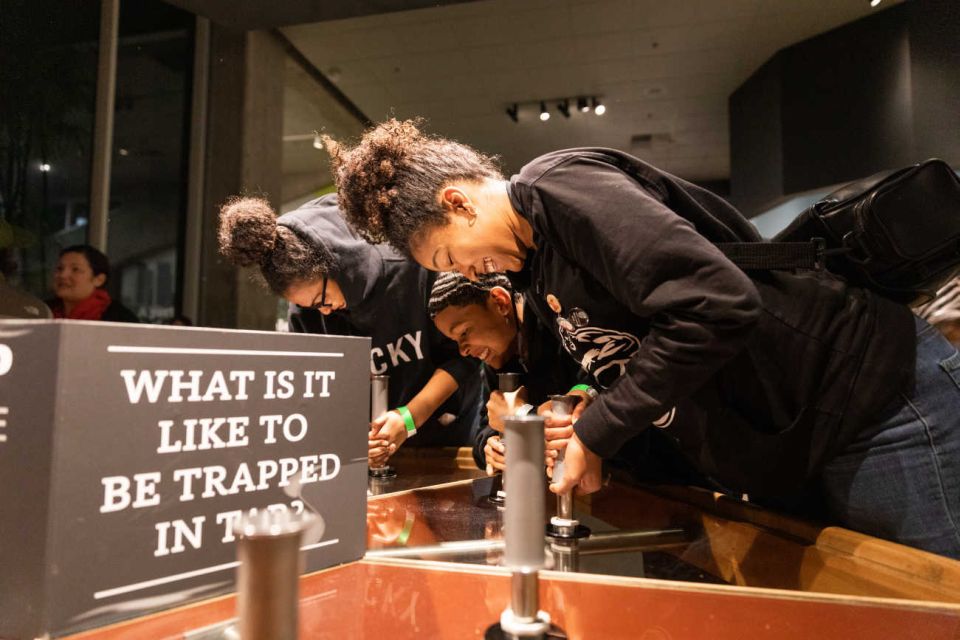 Los Angeles: La Brea Tar Pits Museum Ticket - Should you book the La Brea Tar Pits Museum ticket?