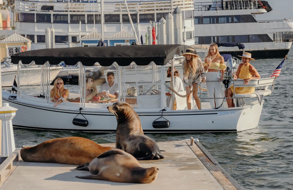 Los Angeles: Luxury Cruise with Wine, Cheese & Sea Lions - Quick take: what you’ll want to know before you go