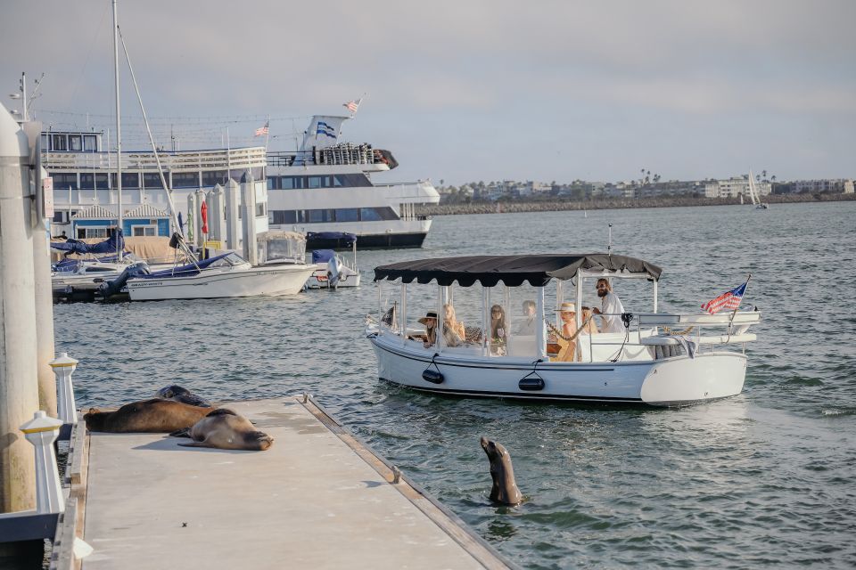 Los Angeles: Luxury Cruise with Wine, Cheese & Sea Lions - Price check: does $119 per person make sense here?