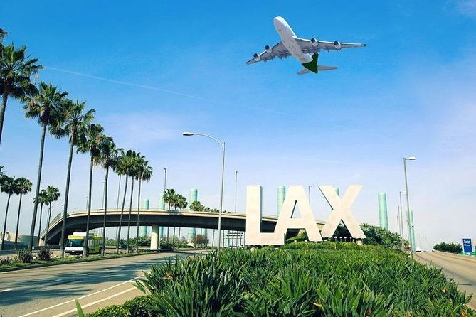 Los Angeles Private Car Service to Anaheim Resort - Who should book this private Los Angeles–Anaheim transfer