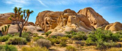 Los Angeles: Private Tour to Joshua Tree National Park - Getting to Joshua Tree: why the pre-park stops are more than extras