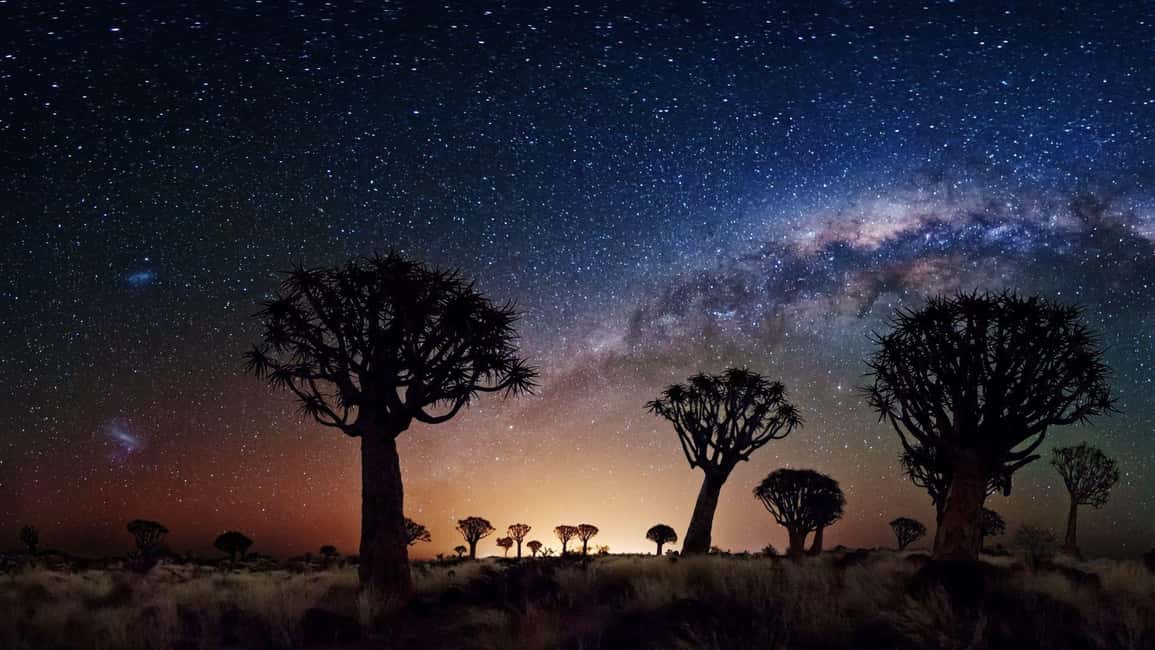 Los Angeles: Private Tour to Joshua Tree National Park - Pickup, guide languages, and the comfort of a small group