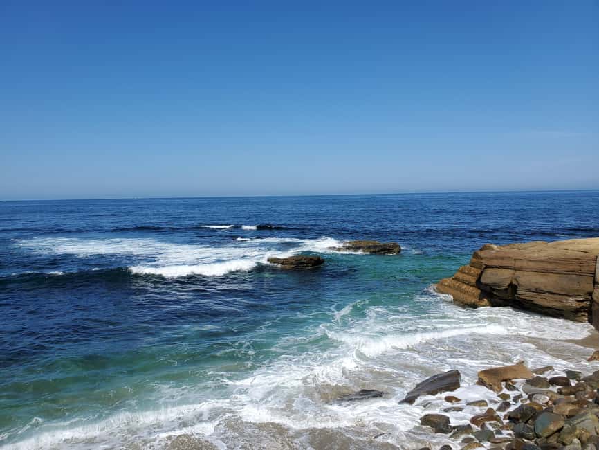 Los Angeles: private tour to San Diego - La Jolla: beach air, seal-spotting, and a quick reset