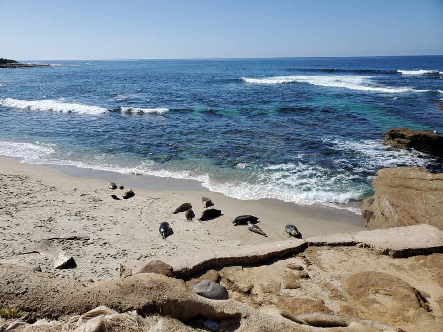 Los Angeles: private tour to San Diego - Seaport Village: short stop, strong atmosphere