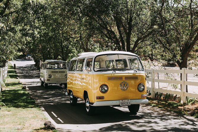 Los Angeles: Private Vintage VW Bus Tour in Malibu - Price and Value: Is $625–$700 Worth It?