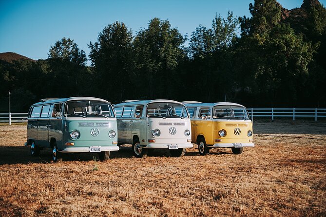 Los Angeles: Private Vintage VW Bus Tour in Malibu - Who This Tour Is Best For