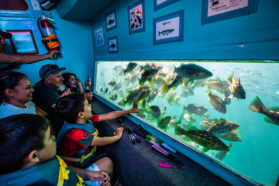 Los Angeles: Redondo Beach Glass Bottom Boat Cruise - Glass-Bottom Views in Redondo Beach Harbor