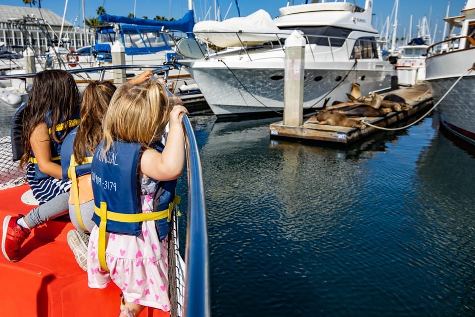 Los Angeles: Redondo Beach Glass Bottom Boat Cruise - What You’ll Likely See: Sea Lions, Exotic Fish, and Birds