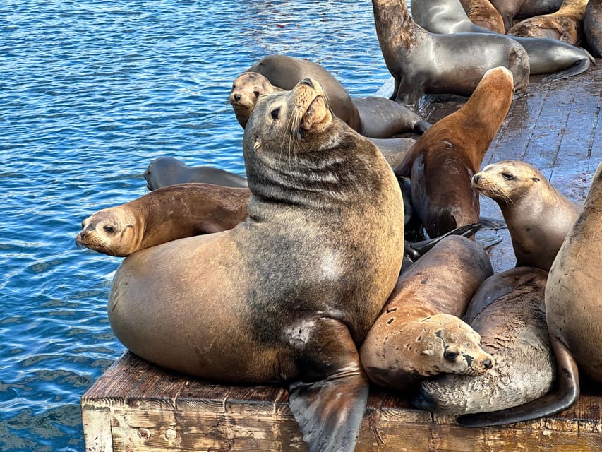 Los Angeles: Redondo Beach Glass Bottom Boat Cruise - Practical Tips That Make the Trip Smoother