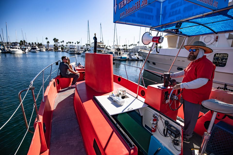 Los Angeles: Redondo Beach Glass Bottom Boat Cruise - Your 45 Minutes at Sea: Above Deck Sea Lions, Below Deck Fish