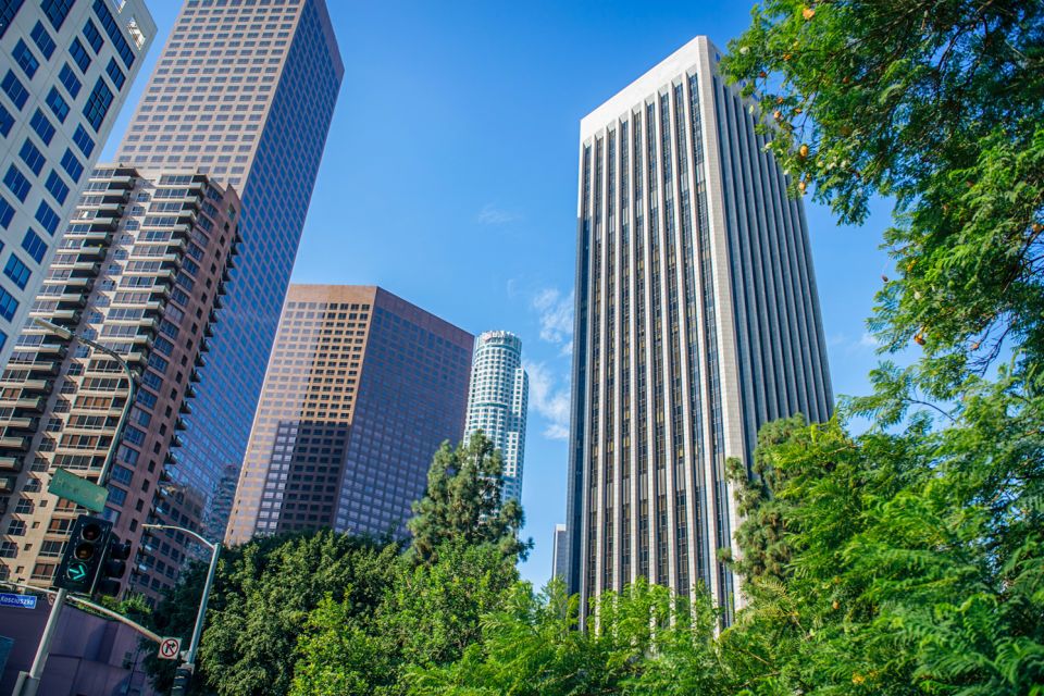 Los Angeles: Small Group Sightseeing Tour - Transport comfort and the guide experience: where reviews really hit