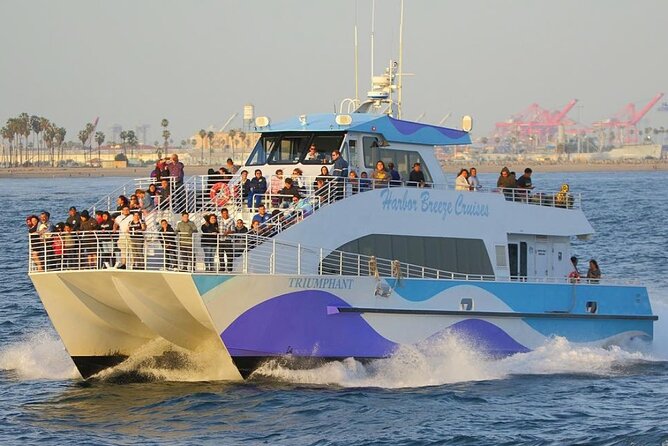 Los Angeles Whale and Dolphin Watching Cruise from West Harbor - Price and Value: Is $45 Worth It?
