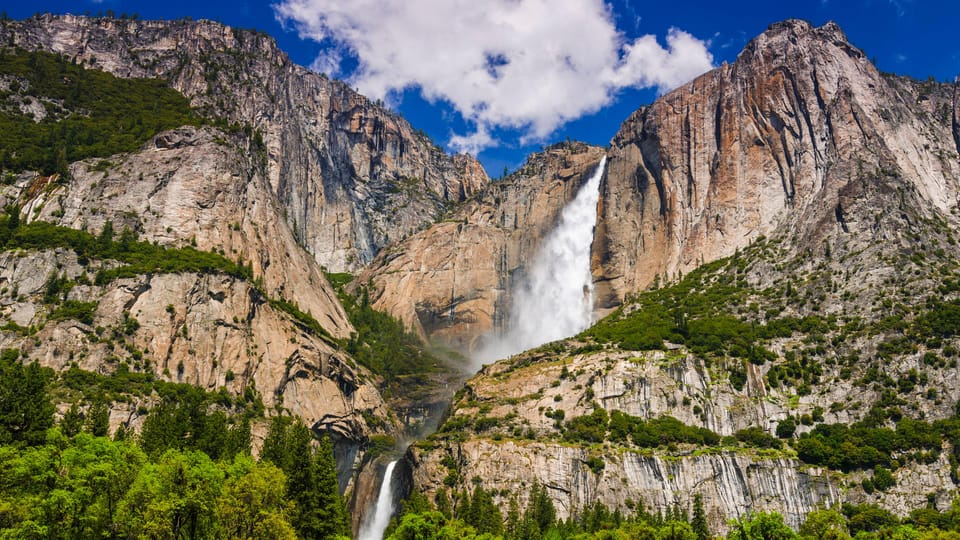 Los Angeles: Yosemite and Sequoia National Parks 2-Day Trip - Sherman Tree and Tunnel Log: the Sequoia classics with real photo payoff