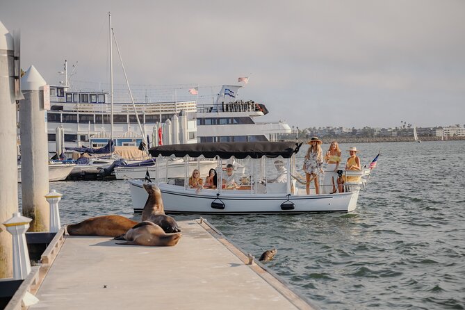 Luxury Shared E-Boat Cruise with Wine, Charcuterie & Sea Lions Spotting - Price and value: is $119 a good deal for this?