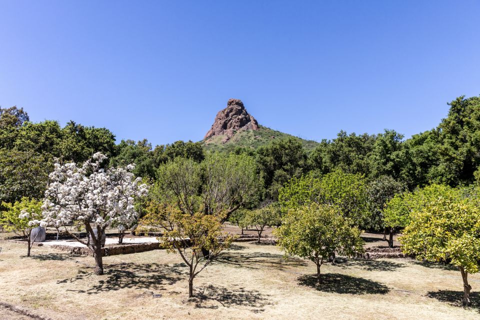 Malibu: Guided Vineyard Hike with Photo Stops and Wine - Wine to-Go: What You Get and How to Use It