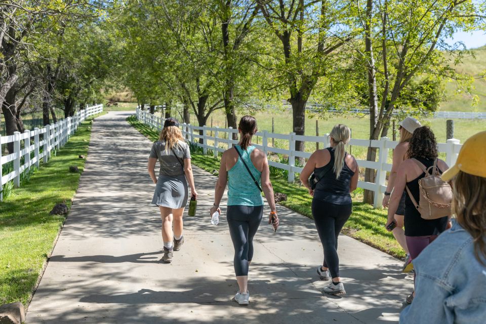 Malibu: Guided Vineyard Hike with Photo Stops and Wine - Who This Tour Fits Best (And Who Should Rethink It)