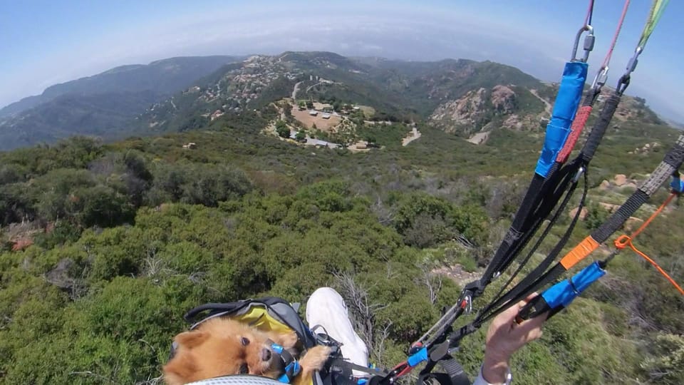 Malibu Hills to Beach: Tandem Paragliding Flight Adventure - Landing on Malibu Beach: The Gentle Finish That Makes It Worth It