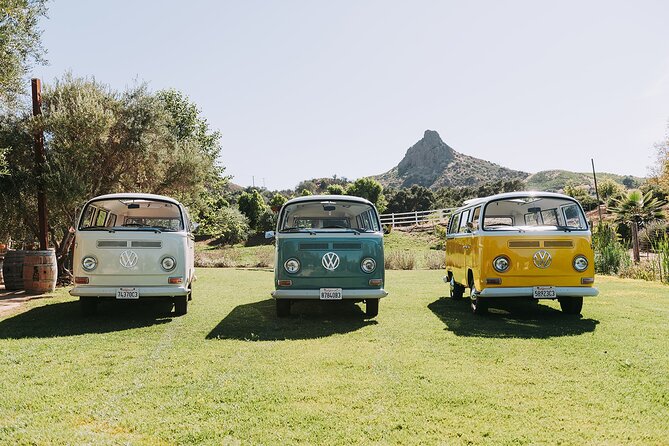 Malibu: Vintage VW Bus and Vineyard Tour - The Guide’s Role: Stories, Chumash Connections, and Property Details