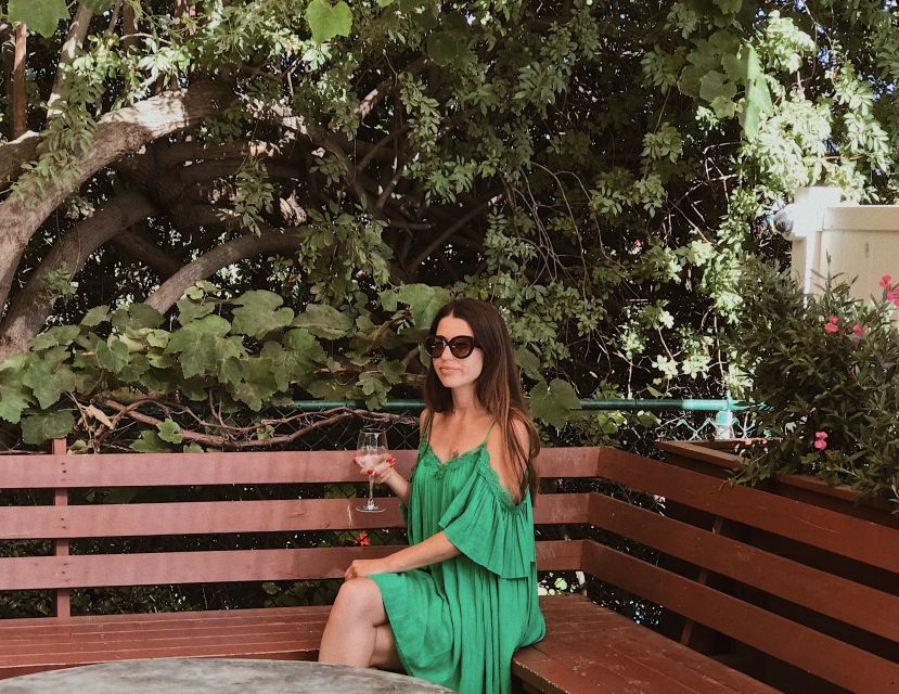 Malibu: Vintage VW Sightseeing Tour and Wine Tasting - The coastal drive up Route 1: what you should expect from the windows