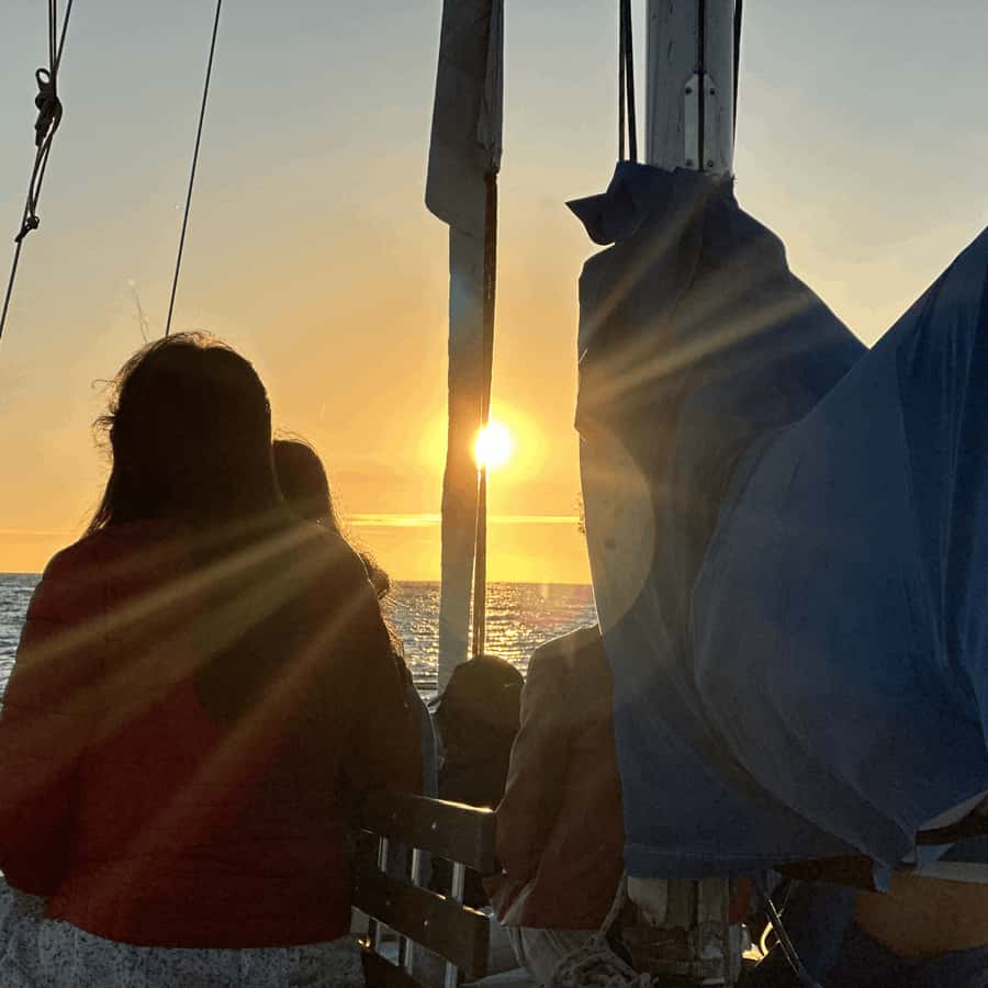 Marina del Rey: 1-Hour Boat Tour - Marina del Rey in One Hour: What You Actually Get