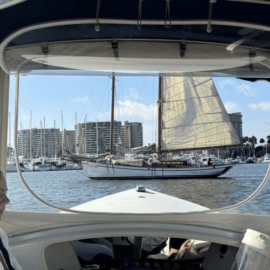 Marina del Rey: 1-Hour Boat Tour - Harbor Views, Then Out Toward the Ocean Mouth