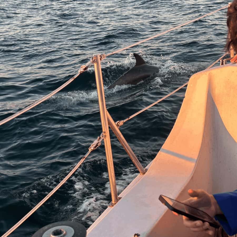 Marina del Rey: 1-Hour Boat Tour - Sea Lions and Ocean Horizon Photos (Yes, It Matters)