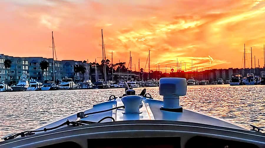 Marina Del Rey Luxury Boat Cruise Wine, Charcuterie Sealions - Key highlights you’ll care about