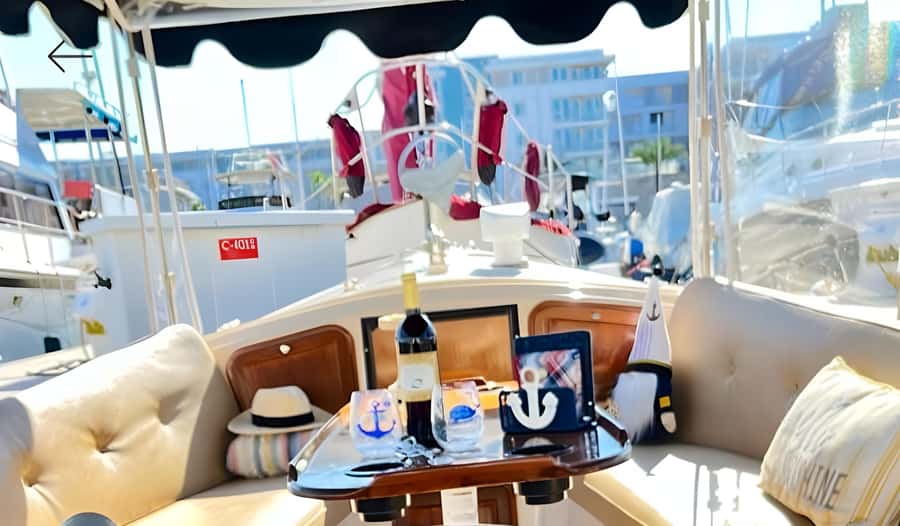 Marina Del Rey Luxury Boat Cruise Wine, Charcuterie Sealions - Marina del Rey on a Duffy boat: the vibe you’re paying for