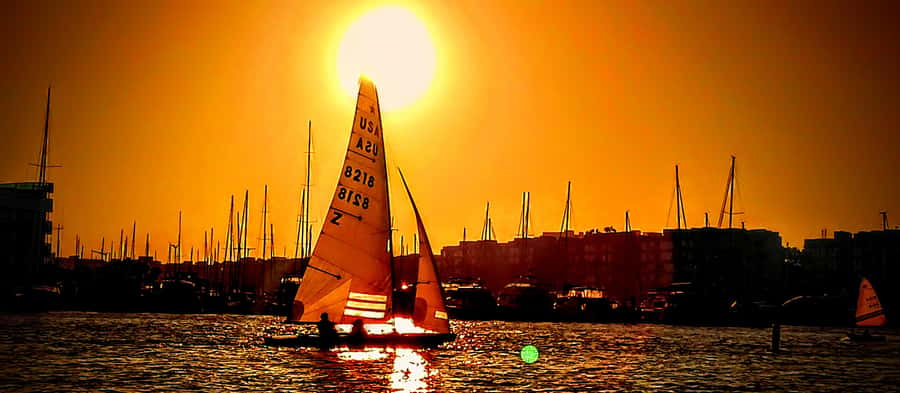 Marina Del Rey Luxury Boat Cruise Wine, Charcuterie Sealions - Sunset cruising in Los Angeles: timing that makes sense