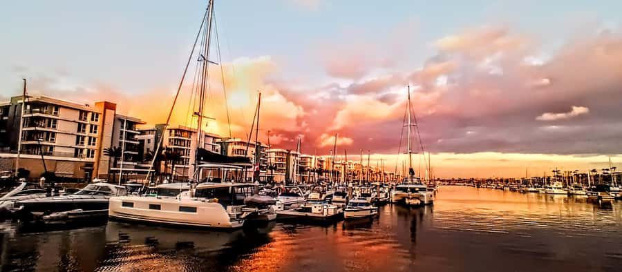 Marina Del Rey Luxury Boat Cruise Wine, Charcuterie Sealions - Meeting at Brizo Bar: arrive ready so your cruise starts smooth