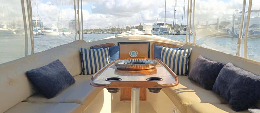 Marina Del Rey Luxury Boat Cruise Wine, Charcuterie Sealions - Price and value: is $149 fair for this 2-hour cruise?