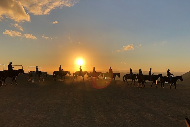 Mulholland Trail Horseback Tour - Should You Book the Mulholland Trail Horseback Tour?
