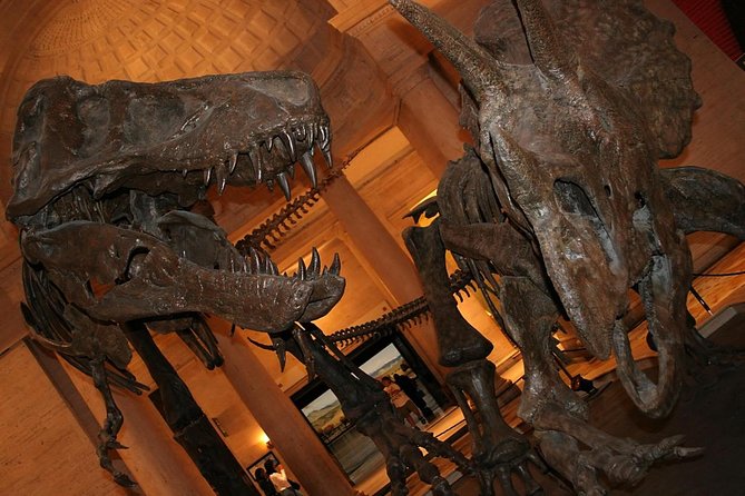 Natural History Museum of Los Angeles County Admission - Key Highlights to Know Before You Go