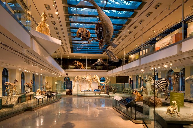 Natural History Museum of Los Angeles County Admission - Becoming Los Angeles and the LA Nature Angle