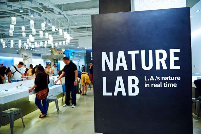 Natural History Museum of Los Angeles County Admission - Gems and Minerals Hall: Why This Room Feels Like Magic