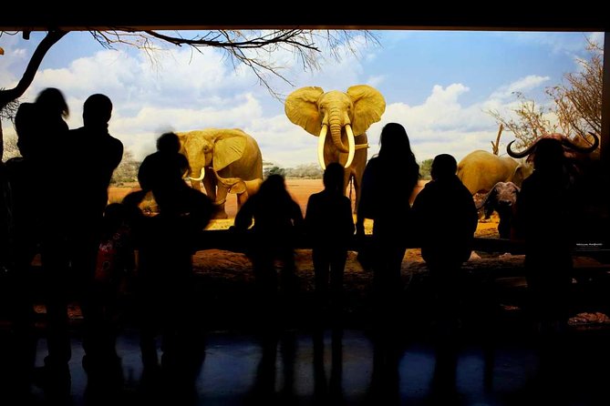 Natural History Museum of Los Angeles County Admission - Add-On Choices: Dinosaur Encounters and the Fierce! Cats Exhibit