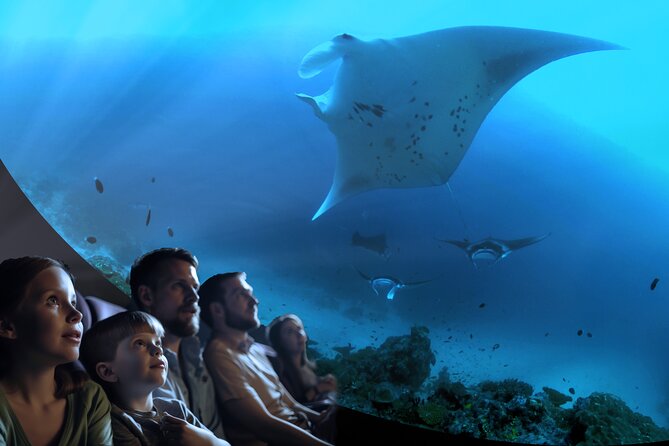 Ocean Wonders: An Immersive Ocean Movie Experience - First Impressions: What Ocean Wonders Is Really Like