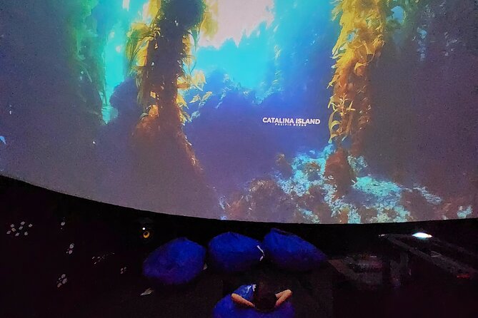 Ocean Wonders: An Immersive Ocean Movie Experience - What Makes The Underwater Footage Feel Real (Even Though It’s Film)