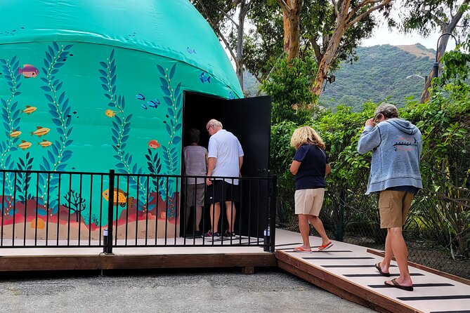Ocean Wonders: An Immersive Ocean Movie Experience - Comfort, Motion, And The Seating Reality Check