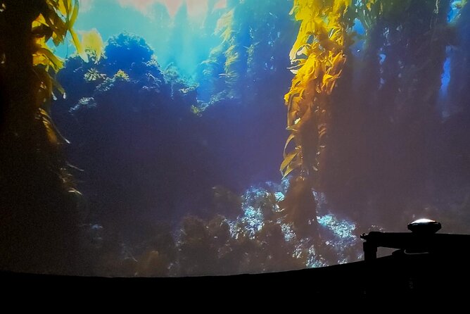 Ocean Wonders: An Immersive Ocean Movie Experience - Should You Book Ocean Wonders In Catalina?