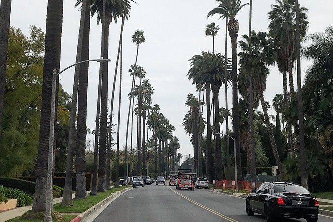 Private 3.5 Hour Sightseeing Tour of Hollywood and Beverly Hills - Tar pits and car-lovers time: two LA quirks you’ll remember
