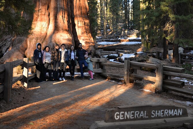Private Day Tour to Sequoia and Kings Canyon Parks From LA - Tunnel Log: a 30-minute wow stop you can actually enjoy