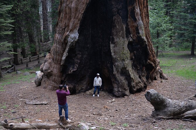 Private Day Tour to Sequoia and Kings Canyon Parks From LA - Comfort, parking, and timing: the day can make or break the mood