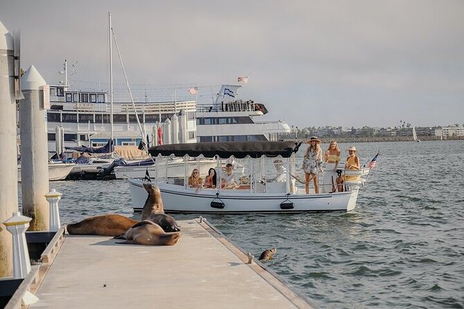 Private E-Boat Cruise: Wine, Charcuterie and Sea Lion Spotting - Key things to know before you go