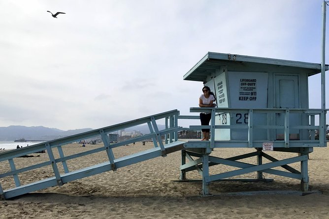 Private EBike Tour of Santa Monica and Venice Beaches - Venice Beach and Boardwalk: the famous stretch, managed with a plan
