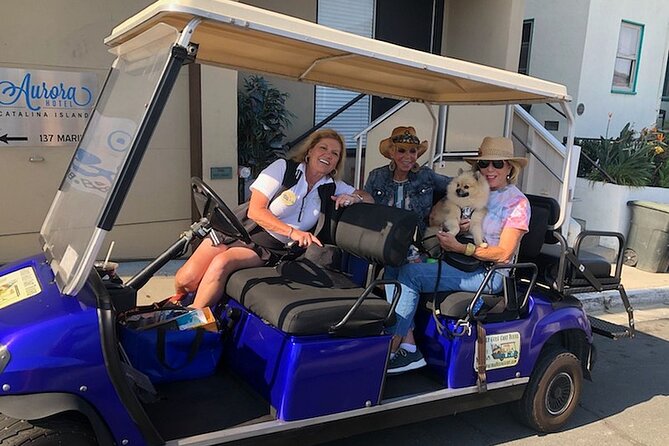 Private Guided Golf Cart Tour of Avalon - A fast, low-stress way to see Avalon