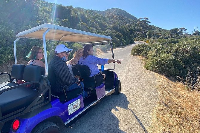 Private Guided Golf Cart Tour of Avalon - Why the 2-hour private format feels like real value
