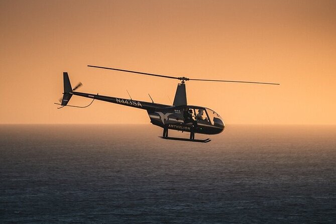 Private Helicopter Tour of Hollywood Sign, Beaches and More - Before you lift off: check-in, the meeting point, and what pilots require