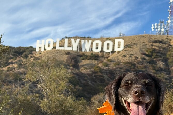 Private Hollywood Sign Hiking Tour with Select Hotel Pickup - The Pickup Experience: Start Smooth, Not Frazzled