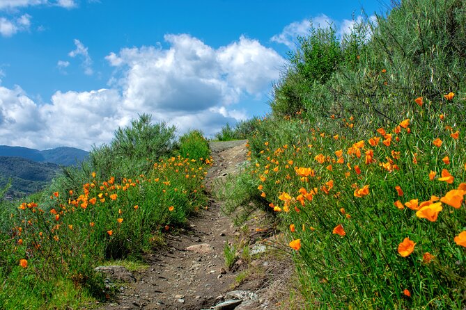 Private Malibu Waterfall Hike & Pacific Coast Drive - What’s included (and why it matters on a Malibu hike)